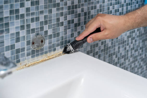Best Post-Flood Mold Remediation in Jonesboro, LA